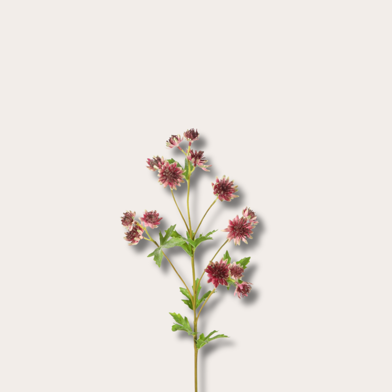 Zijden bloem - Astrantia Spray - Roze