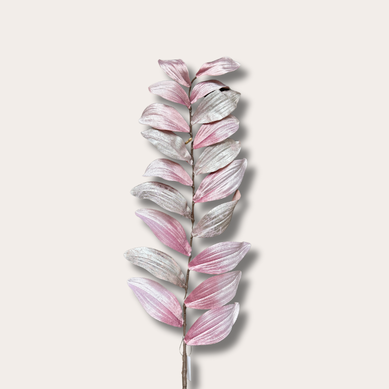 Zijden bloem - Zamifolia - Parelmoer