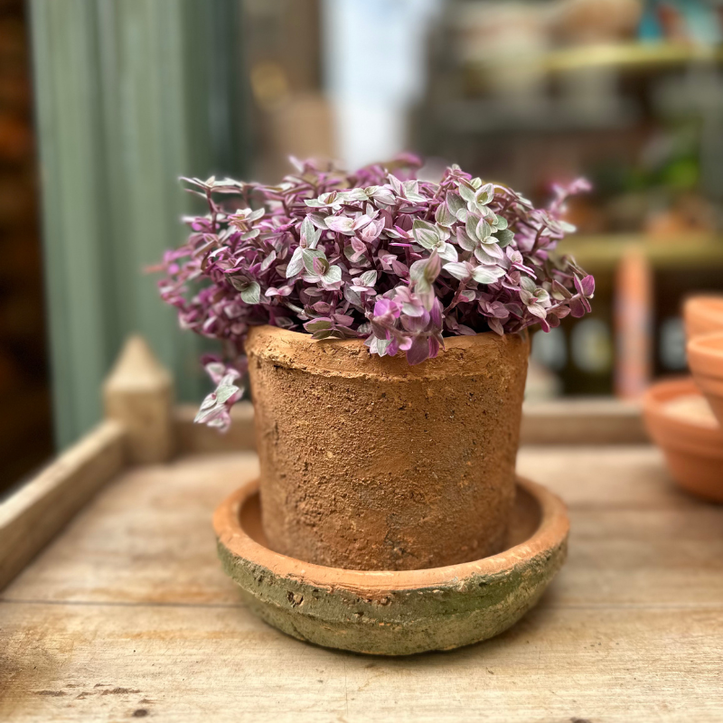 Pot - Ibiza - terracotta - S