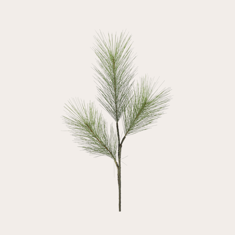 Zijden bloem - Dennen smal