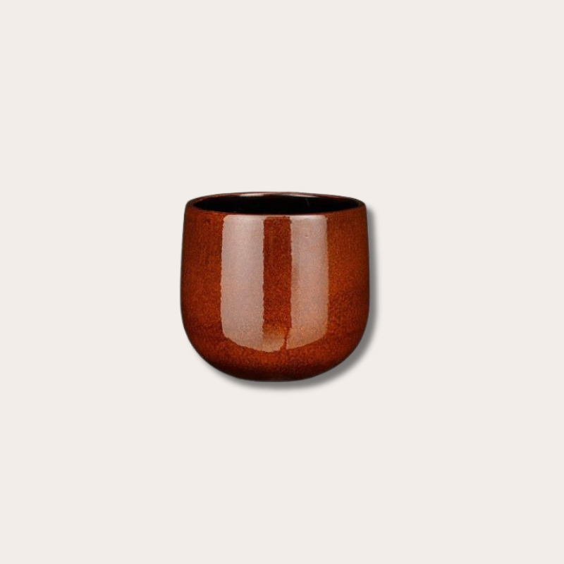 Pot - Pablo - Bruin