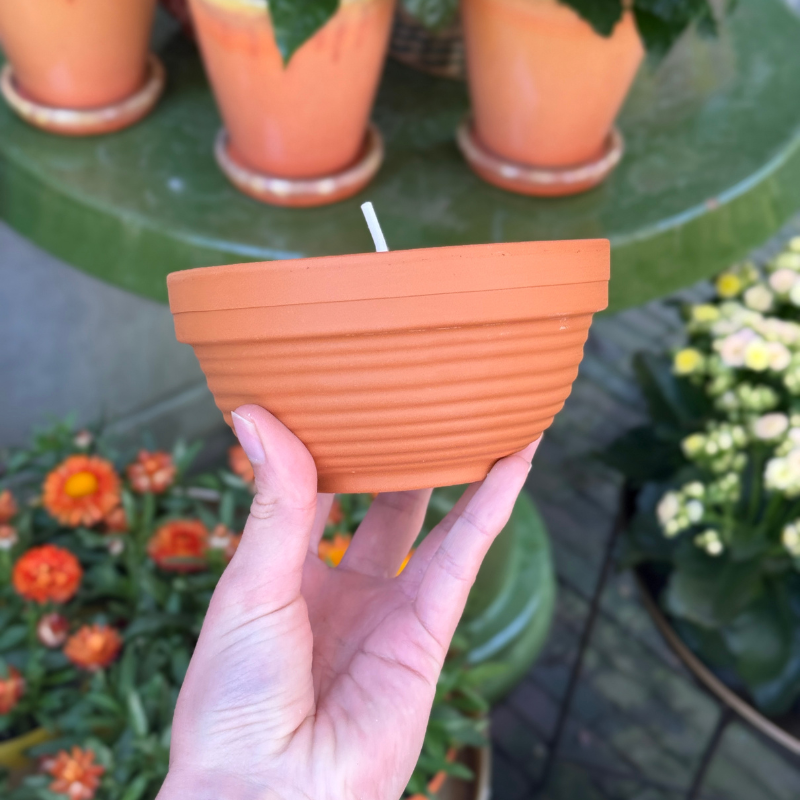 Buiten kaars - terracotta pot - Magnolia