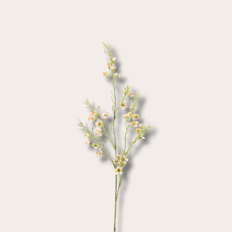 Zijden bloem - Wax Flower - Licht roze