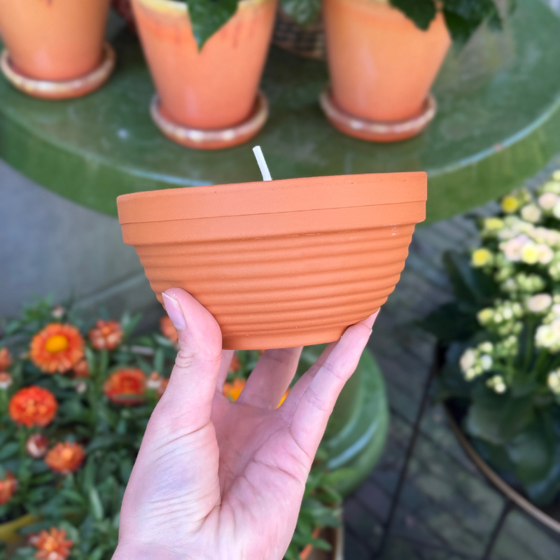 Buiten kaars - terracotta pot - Blush