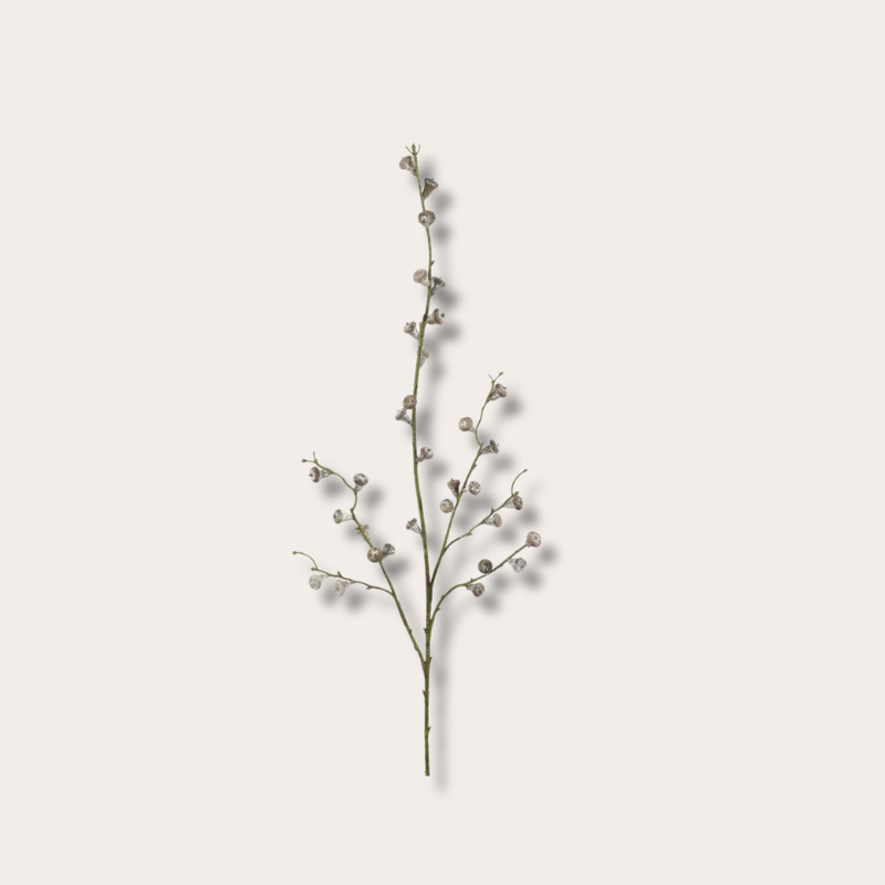 Zijden bloem - Eucalyptus tak