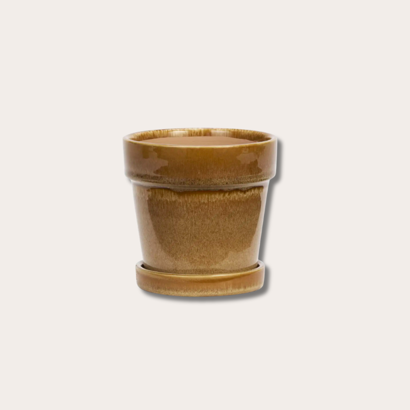Pot met schotel - Mosterdgeel