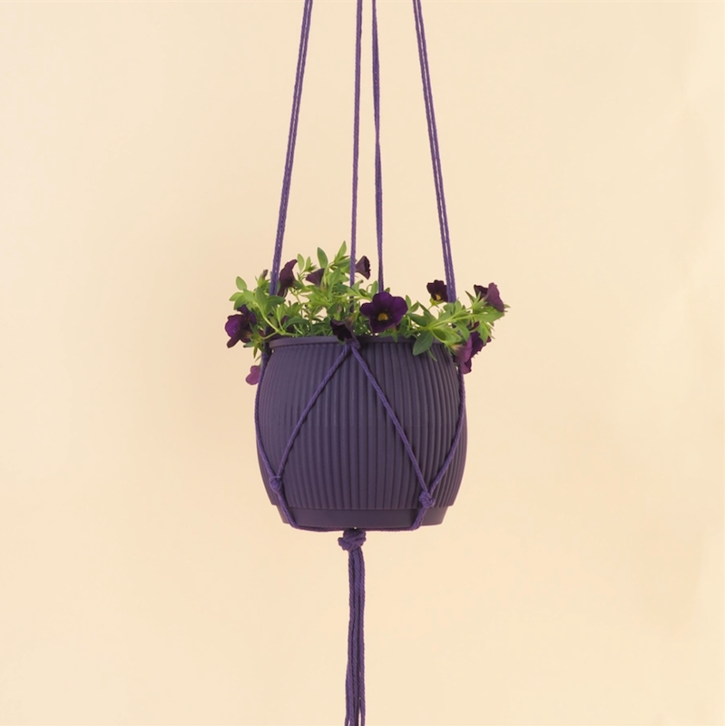 Plantenhanger - deep purple