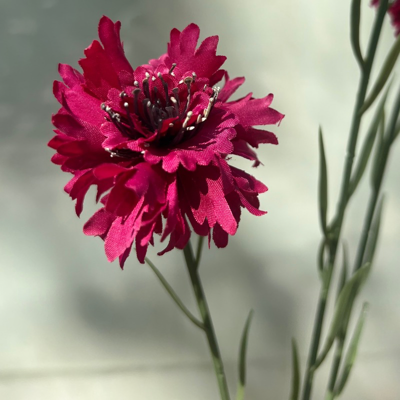 Zijden bloem - Cornflower spray - Fuchsia