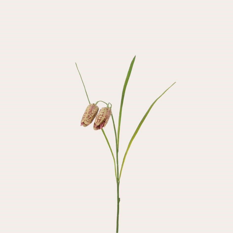 Zijden bloem - Fritillaria beige