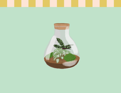 Terrarium