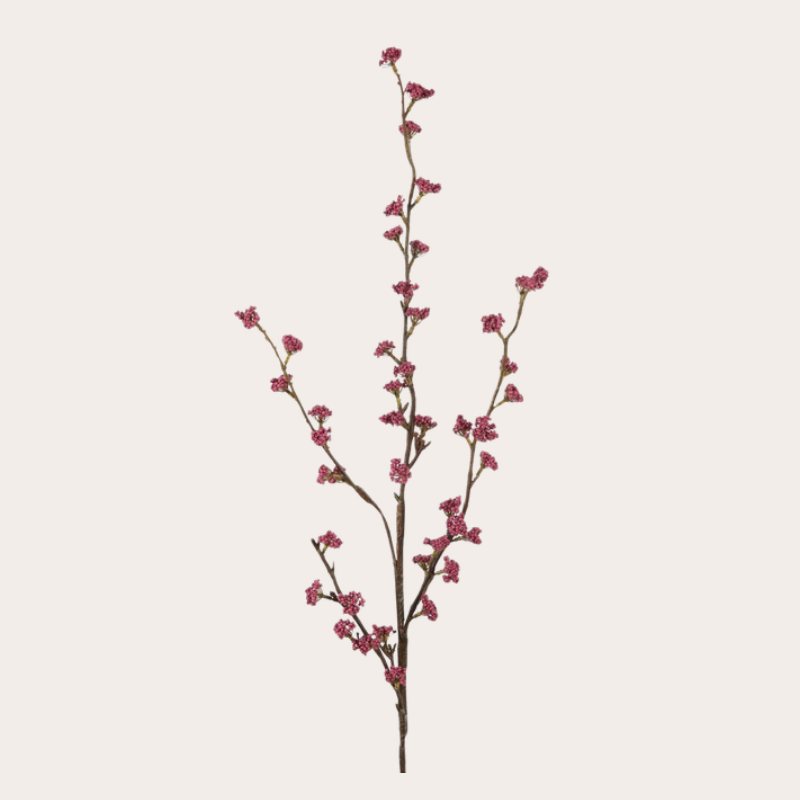 Zijden bloem - Callicarpa - Paars