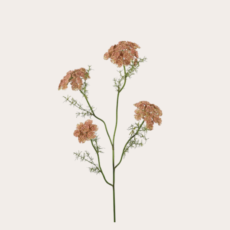 Zijden bloem - Ammi - Roze