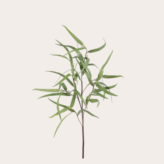 Zijden bloem - Eucalyptus - Grijs