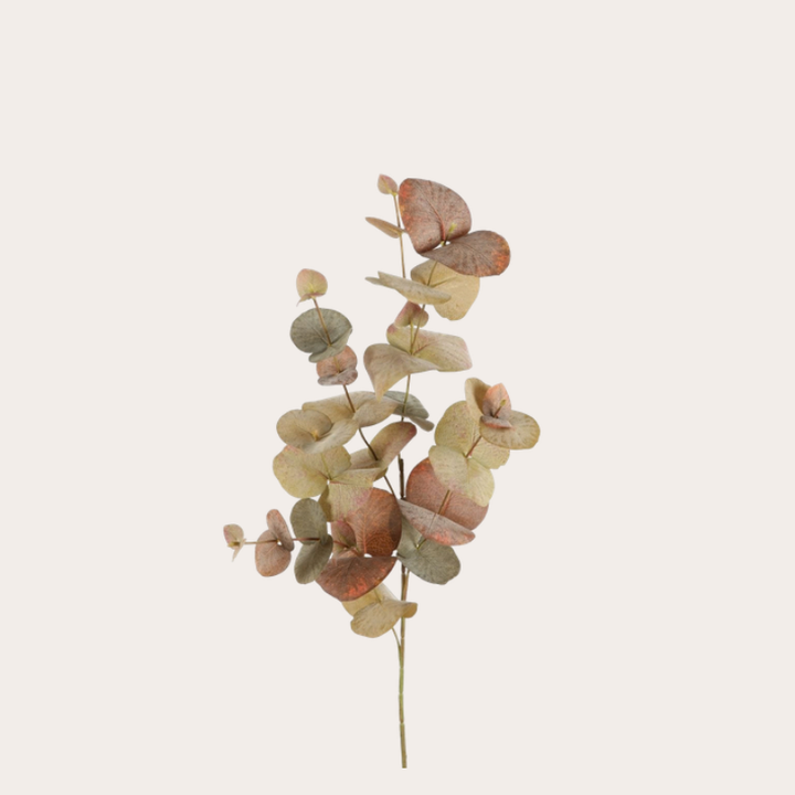Zijden bloem - Eucalyptus - Bruin