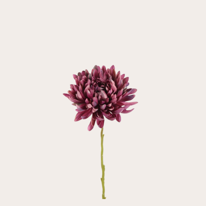 Zijden bloem - Spider Mum - Paars