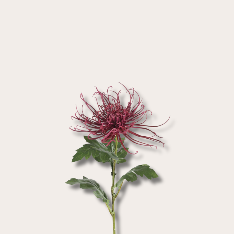 Zijden bloem - Spider Mum Stem - Paars