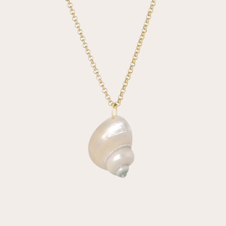 Ketting met schelp hanger
