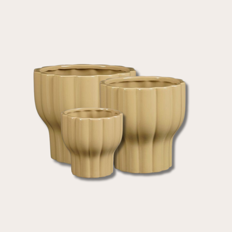 Pot - Lune