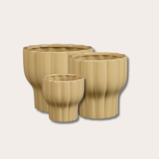 Pot - Lune