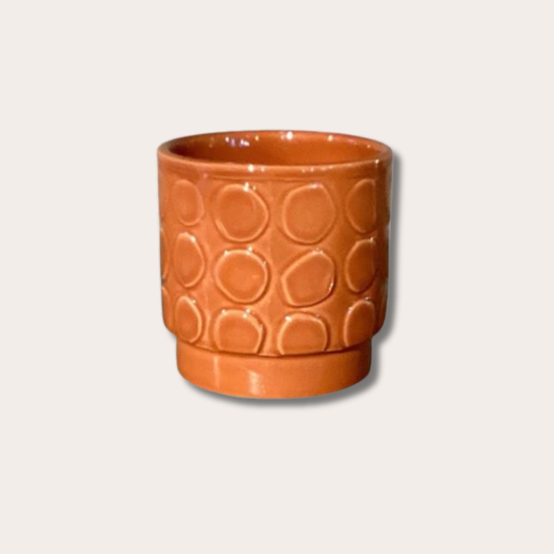 Pot - Eno - terra