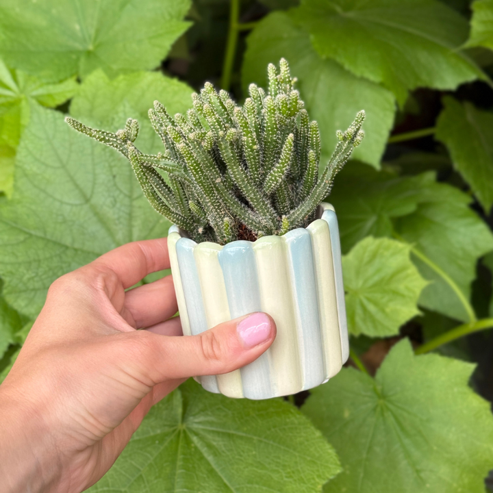 Pot - Bliss - blauw/groen