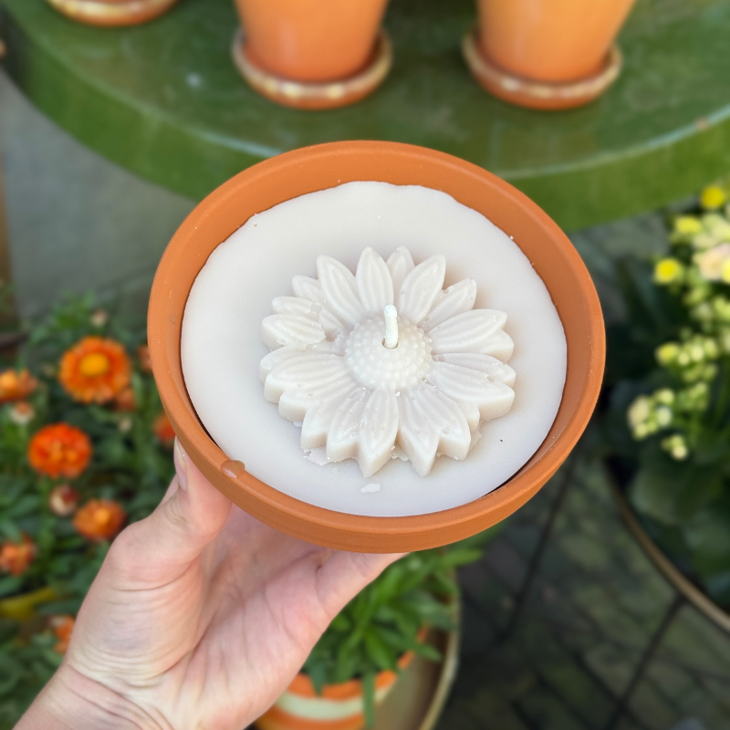 Buiten kaars -  terracotta pot - Cream