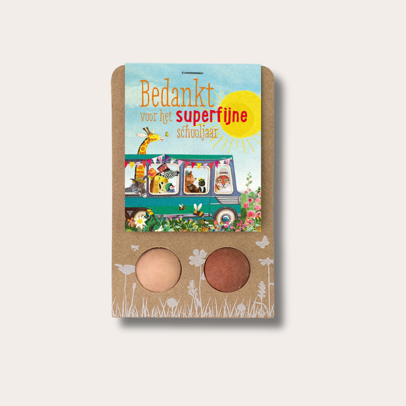 Zaadbommen 2 stuks - Schoolbus