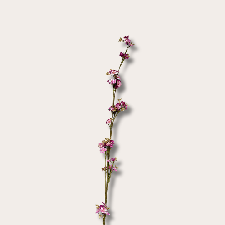 Zijden bloem - Gipskruid - Paars