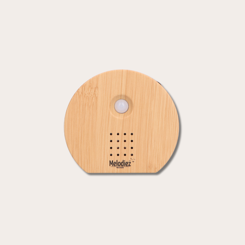 Nature sound box - Wood light