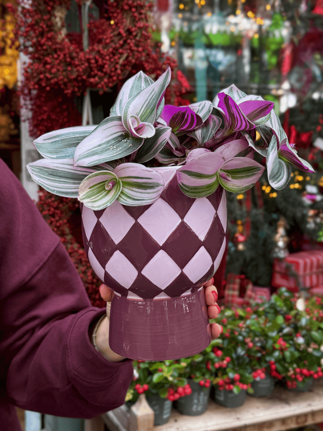SHOP POTTEN