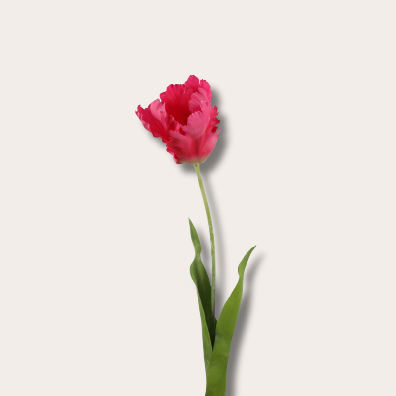 Zijden bloem - Papegaaientulp - fuchsia