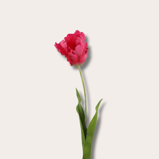 Zijden bloem - Papegaaientulp - fuchsia