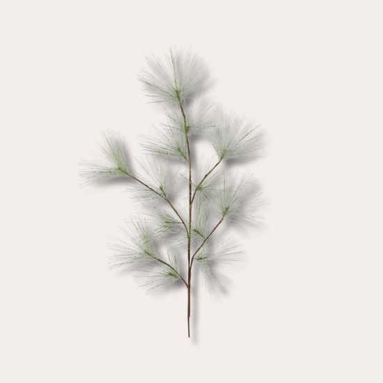 Zijden bloem - Pine Needle Branch