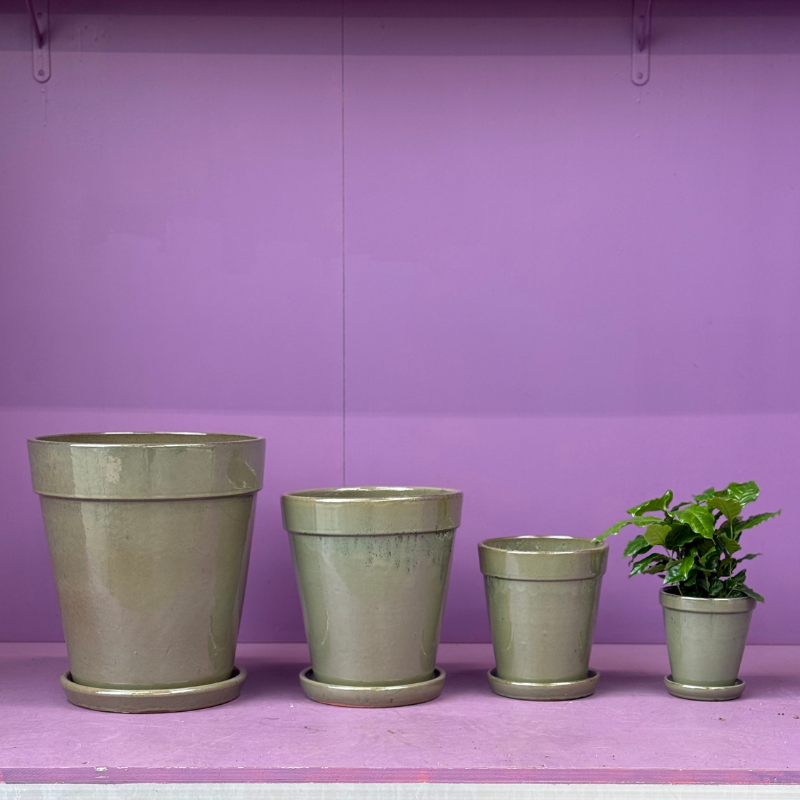 Geglazuurde potten met schotel - Groen