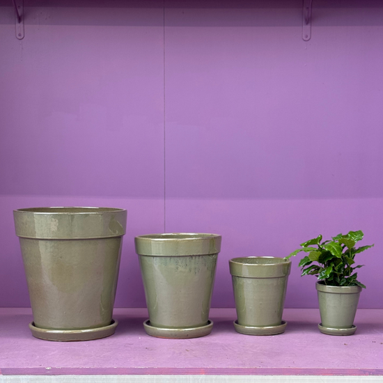 Geglazuurde potten met schotel - Groen
