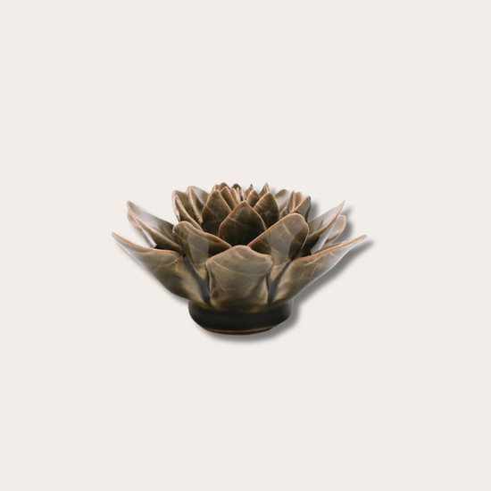 Keramieken bloem - Echeveria - Olijfgroen