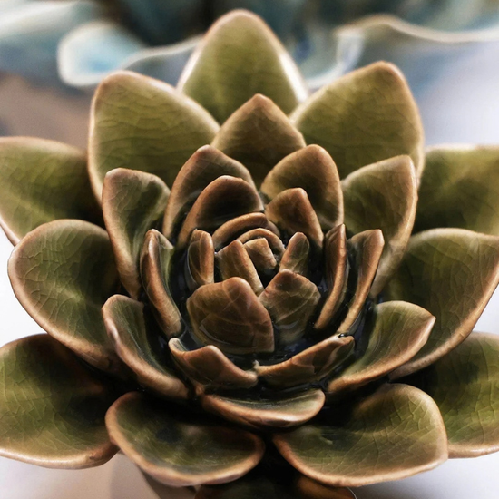 Keramieken bloem - Echeveria - Olijfgroen