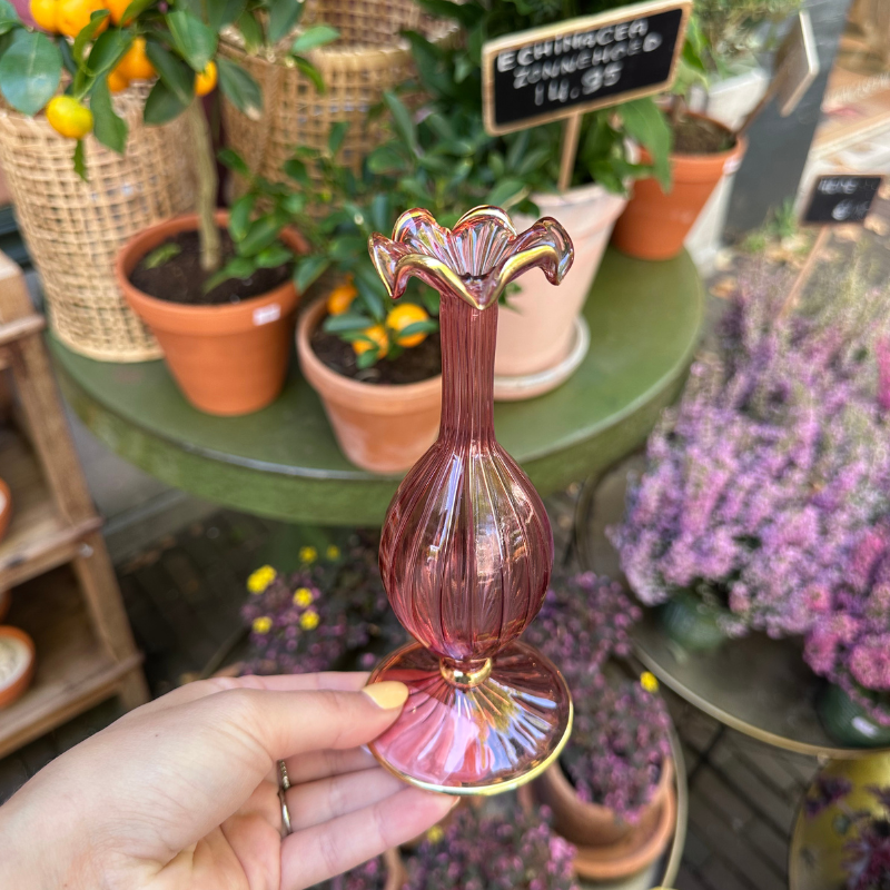 GV - Vaasje Ruby - Oud roze