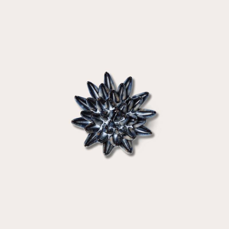 Keramieken bloem - Crassula - navy blauw