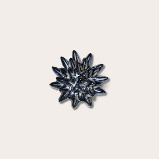 Keramieken bloem - Crassula - navy blauw