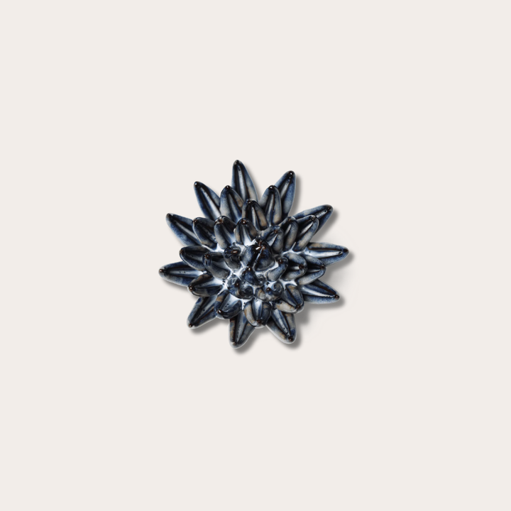 Keramieken bloem - Crassula - navy blauw