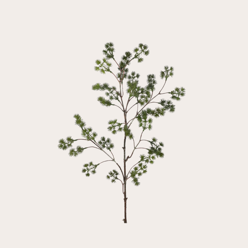 Zijden bloem - Dennen bollen