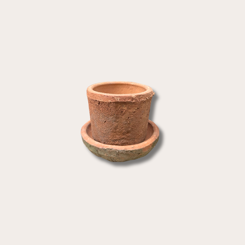 Pot - Ibiza - terracotta - S