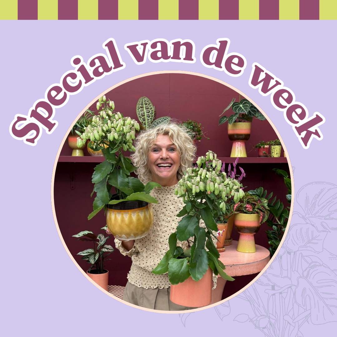 Groene Vingers Special van de week