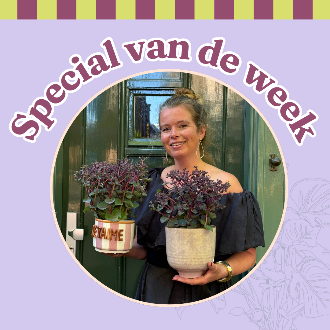 Groene Vingers Special van de week
