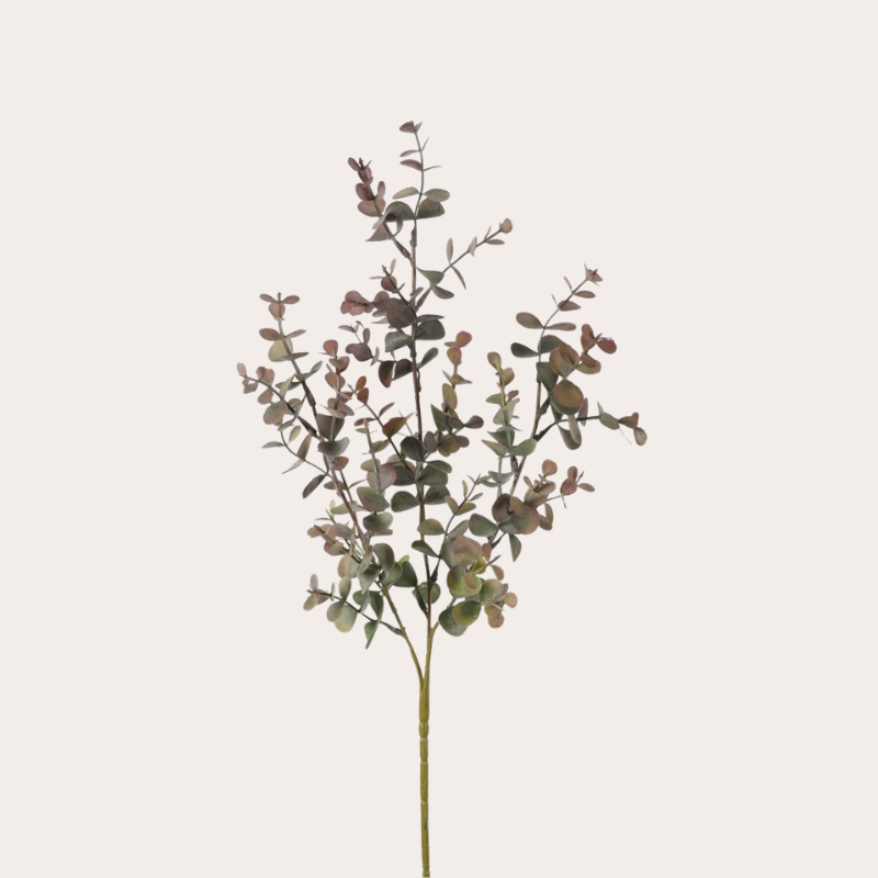 Zijden bloem - Eucalyptus - Groen/rood