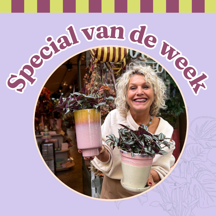 Groene Vingers Special van de week