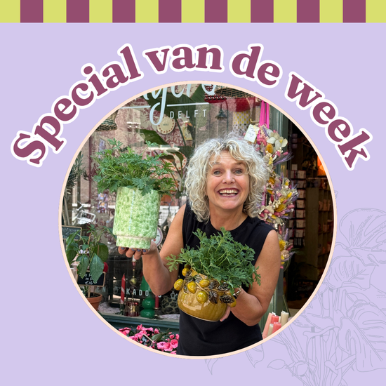 Groene Vingers Special van de week