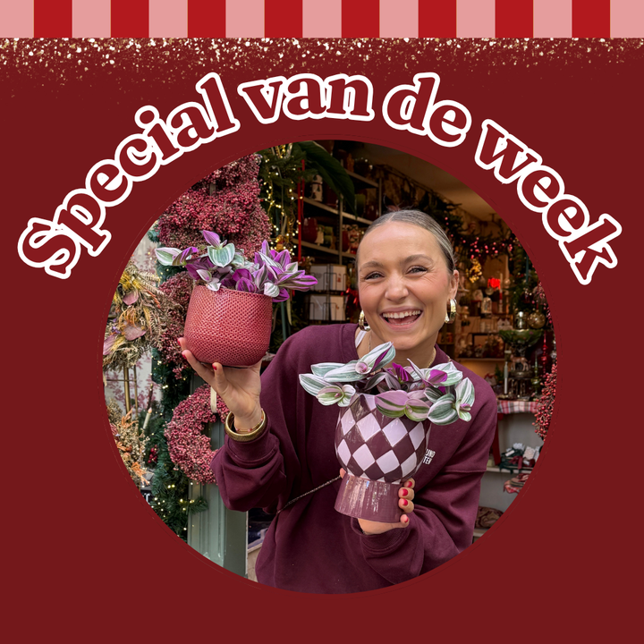 Groene Vingers Special van de week