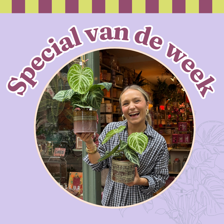 Groene Vingers Special van de week